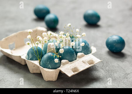Easter composition - Blue eggs dyed with red cabbage leaves, white gypsophila flowers and an egg container on a gray textured background Stock Photo
