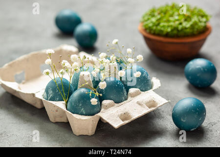 Easter composition - Blue Easter eggs dyed with red cabbage leaves, gypsophila flowers, green sprouts in a bowl, egg container on a gray textured back Stock Photo