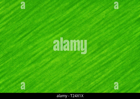 Abstract textured green background with diagonal pattern Stock Photo