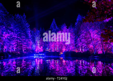 Light Show ovber Loch Faskally, Highlan Perthshire. Stock Photo