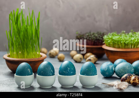 Easter composition - eggs dyed blue in a red cabbage, quail eggs, Easter oats, watercress and red cabbage Stock Photo