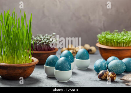 Easter composition - eggs dyed blue in a red cabbage, quail eggs, Easter oats, watercress and red cabbage Stock Photo