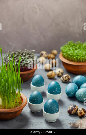 Easter composition - eggs dyed blue in a red cabbage, quail eggs, Easter oats, watercress and red cabbage Stock Photo