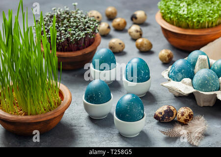 Easter composition - eggs dyed blue in a red cabbage, quail eggs, Easter oats, watercress and red cabbage Stock Photo