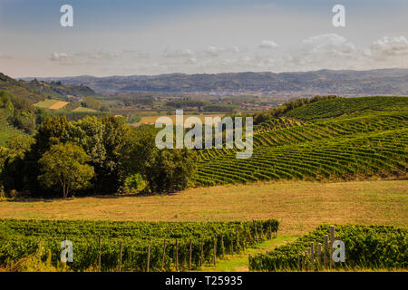 Santa Vittoria d'Alba village, vineyards and countryside landscape in Piemonte. Alba Piemonte, Italy Europe. Stock Photo
