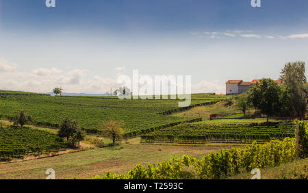 Santa Vittoria d'Alba village, vineyards and countryside landscape in Piemonte. Alba Piemonte, Italy Europe. Stock Photo