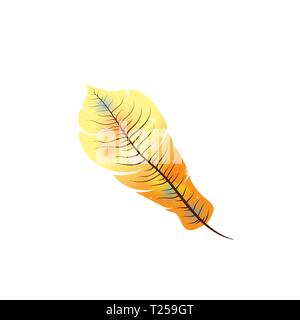 Bright exotic orange feather on white Stock Vector