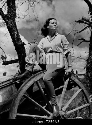 The Shiralee (1957)   Rosemary Harris,      Date: 1957 Stock Photo