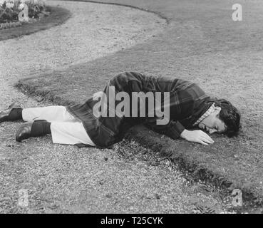 Twice Round the Daffodils (1962)  Ronald Lewis,      Date: 1962 Stock Photo