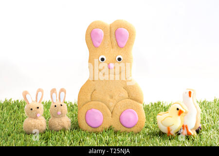 Easter Bunny Biscuit Stock Photo