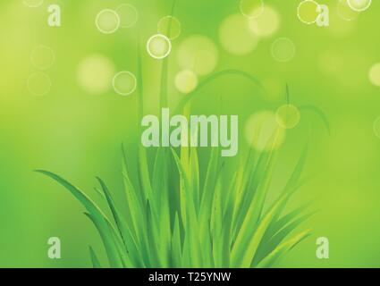 Frash Spring green grass background. Vector illustration Stock Vector