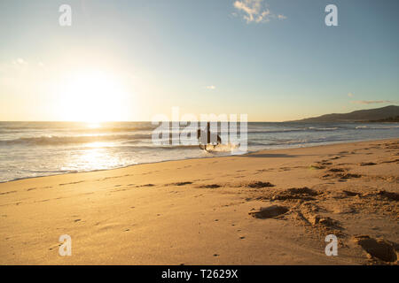 Spain, Tarifa, woman riding horse on the beach at sunset Stock Photo