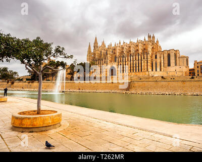 Cathedral of Santa Maria of Palma (Cathedral of St. Mary of Palma), more commonly referred to as La Seu  is a Gothic Roman Catholic cathedral located  Stock Photo