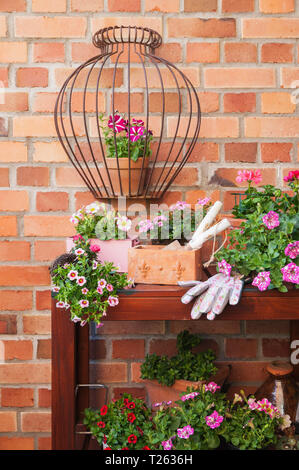 Various potted spring and summer flowers, gardening tools and gloves Stock Photo
