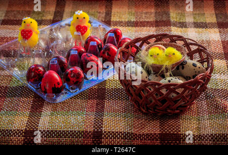Painted quail eggs. Small quail eggs. Easter. traditions. egg coloring Stock Photo