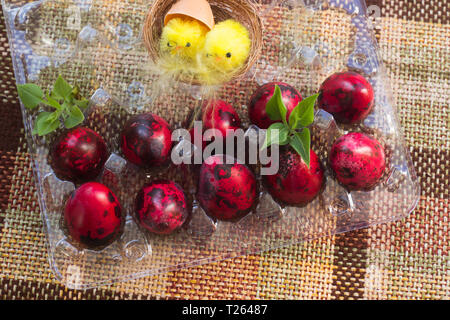 Painted quail eggs. Small quail eggs. Easter. traditions. egg coloring Stock Photo