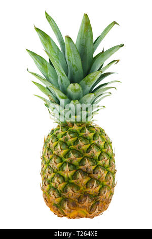 ananas comosus pineapple isolated on white background Stock Photo