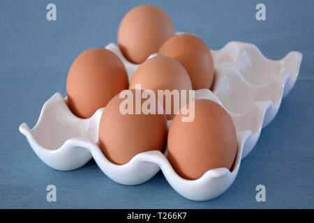 Farm fresh jumbo brown eggs in white ceramic egg tray on blue background.  Horizontal format shot in natural light. Stock Photo