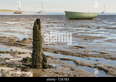 A wooden stake in the Oare Marshes at low tide near Faversham, Kent, England, UK - with some boats and the Isle of Sheppey in the background Stock Photo