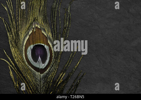 Abstract composition of olden peacock feather on black stone background with copy space Stock Photo