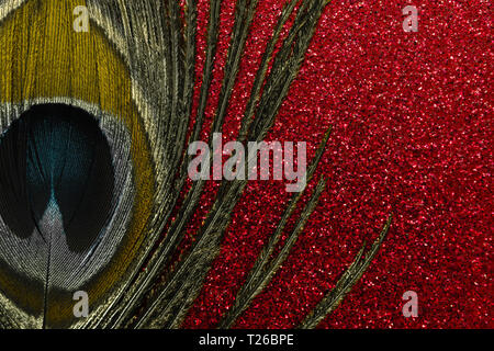Abstract composition of golden peacock feather on red shiny background Stock Photo
