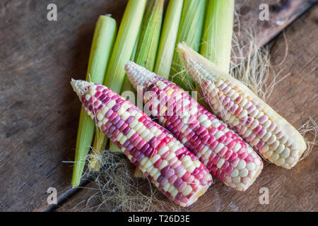 Colorful small ears waxy corns with silk, corn leaf and old wooden background. Stock Photo