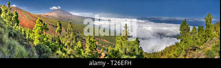 Panorama of the volcano Teide and Orotava Valley - view from Mirador de Chipeque (Tenerife, Canary Islands) Stock Photo