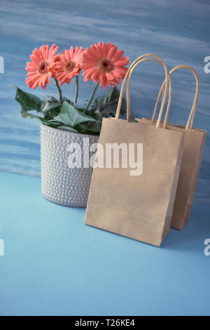 Coral gerbera daisy flowers and craft papper shopping bags on blue paper background, Springtime sale concept image with copy-space. Stock Photo