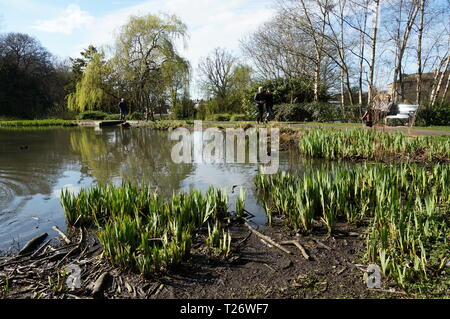 Glasgow, UK, 30th March 2019 : A sunny and warm Saturday in Glasgow seen many residents of Glasgow enjoy the greenery of Queens Park. Credit: Pawel Pietraszewski / Alamy Live News Stock Photo