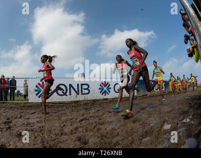 Senior Women's race, IAAF World Cross Country Championships 2019 Stock Photo