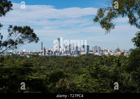 Brisbane Skyline from the forest Stock Photo
