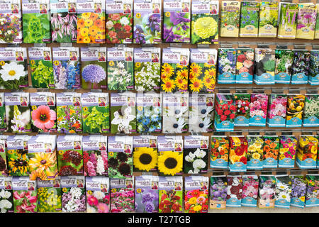 Flower seed packets for sale in a garden centre. UK Stock Photo