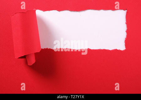 Torn red paper strip curled edge border white background Stock Photo