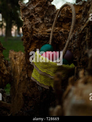 Easter basket in tree trunk Stock Photo