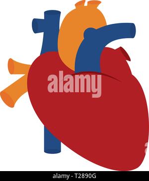 abstract human heart vector illustration Stock Vector Image & Art - Alamy