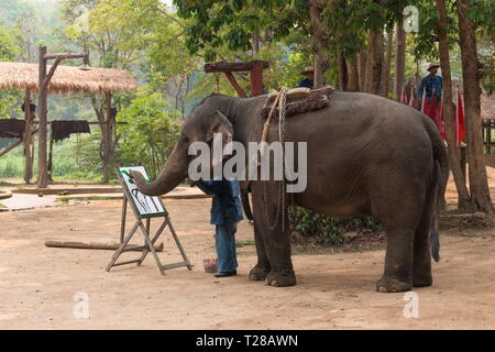 Lampang, Thailand - March 30, 2019: Elephant show at Thai Elephant Conservation Center in Lampang Province, Thailand. Stock Photo