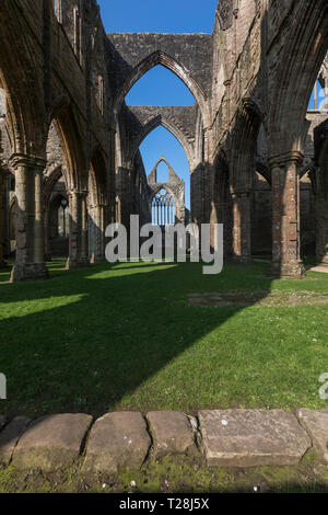 The ruins of Tintern Abbey in Monmouthshire, south Wales Stock Photo