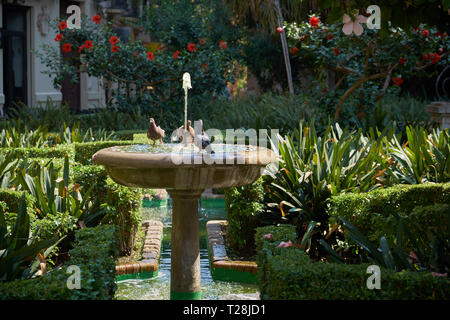 Gardens of the catedral of Málaga (Catedral de La Encarnación). Andalusia, Spain. Stock Photo