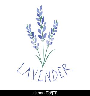 Lavender flower. Logo design. Text hand drawn. Stock Vector