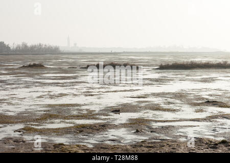 View of lagoon around Torcello island with Burano island on background. Venice, Italy. Stock Photo