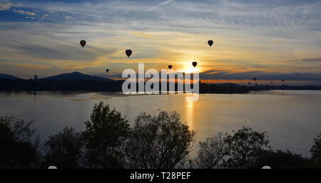 Hot air balloons flying in the air above Lake Burley Griffin, as part of the Balloon Spectacular Festival in Canberra.