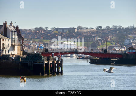 Beautiful spring day at the harbour in Whitby , North Yorkshire Coast, England, UK, GB. Stock Photo