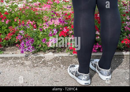 Purple and red flowers and a girls legs Stock Photo