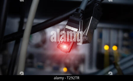 Lan connectore close up. Datacenter server room background. Technology concept 2.0 Stock Photo