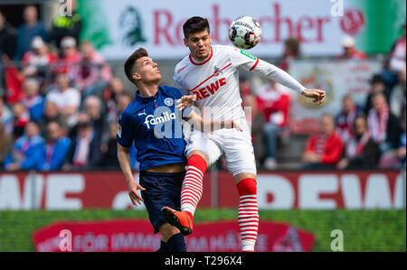 Cologne, Germany. 31st Mar, 2019.  Soccer: 2nd Bundesliga, 1st FC Cologne - Holstein Kiel, 27th matchday in the Rhein-Energie-Stadion. Kiel's Mathias Honsak (l) and Cologne's Jorge Mere fight for the ball. Photo: Guido Kirchner/dpa - IMPORTANT NOTE: In accordance with the requirements of the DFL Deutsche Fußball Liga or the DFB Deutscher Fußball-Bund, it is prohibited to use or have used photographs taken in the stadium and/or the match in the form of sequence images and/or video-like photo sequences. Credit: dpa picture alliance/Alamy Live News Stock Photo