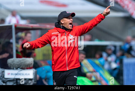 Cologne, Germany. 31st Mar, 2019.  Soccer: 2nd Bundesliga, 1st FC Cologne - Holstein Kiel, 27th matchday in the Rhein-Energie-Stadion. Cologne coach Markus Anfang gives instructions to his players. Photo: Guido Kirchner/dpa - IMPORTANT NOTE: In accordance with the requirements of the DFL Deutsche Fußball Liga or the DFB Deutscher Fußball-Bund, it is prohibited to use or have used photographs taken in the stadium and/or the match in the form of sequence images and/or video-like photo sequences. Credit: dpa picture alliance/Alamy Live News Stock Photo