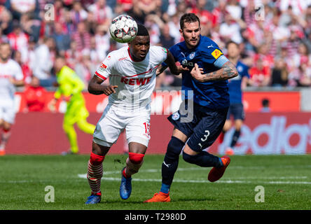 Cologne, Germany. 31st Mar, 2019.  Soccer: 2nd Bundesliga, 1st FC Cologne - Holstein Kiel, 27th matchday in the Rhein-Energie-Stadion. Cologne's Jhon Cordoba (l) and Kiel's Dominik Schmidt fight for the ball. Photo: Guido Kirchner/dpa - IMPORTANT NOTE: In accordance with the requirements of the DFL Deutsche Fußball Liga or the DFB Deutscher Fußball-Bund, it is prohibited to use or have used photographs taken in the stadium and/or the match in the form of sequence images and/or video-like photo sequences. Credit: dpa picture alliance/Alamy Live News Stock Photo