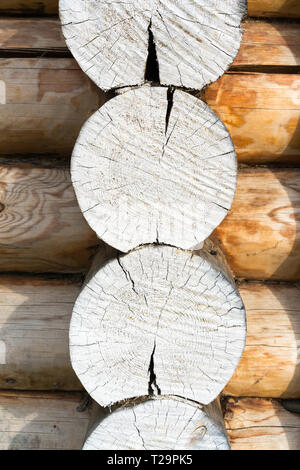 round ends of wooden logs Stock Photo
