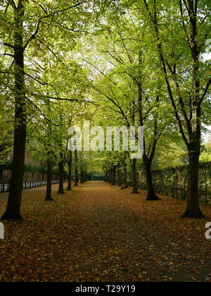 Lonely way in autumn Stock Photo