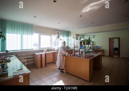 October 14, 2014.Ukraine.Kyiv. Caucasian middle-aged woman in a white coat in the chemical laboratory. A specialist at work, on the table are test tub Stock Photo